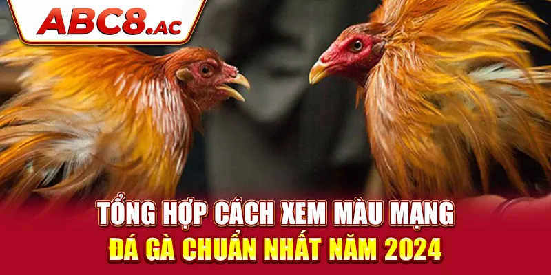 tong-hop-cach-xem-mau-mang-da-ga-chuan-nhat-nam-2024