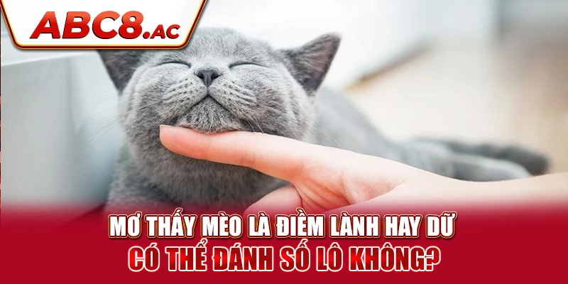 mo-thay-meo-la-diem-lanh-hay-du-co-the-danh-so-lo-khong-