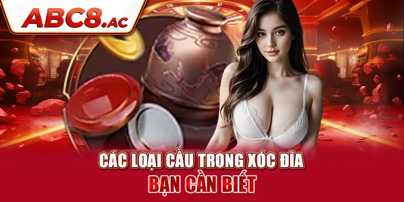 cac-loai-cau-trong-xoc-dia-ban-can-biet