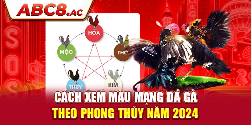 cach-xem-mau-mang-da-ga-theo-phong-thuy-nam-2024