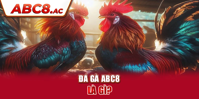 da-ga-abc8-la-gi